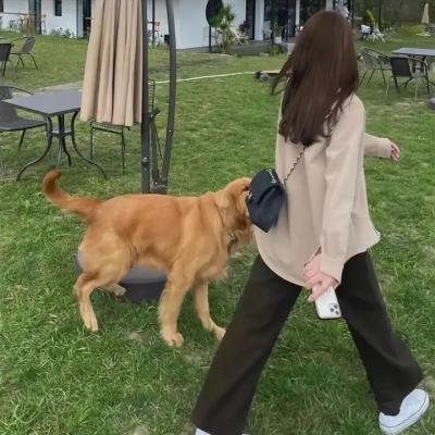 欲燄春潮
